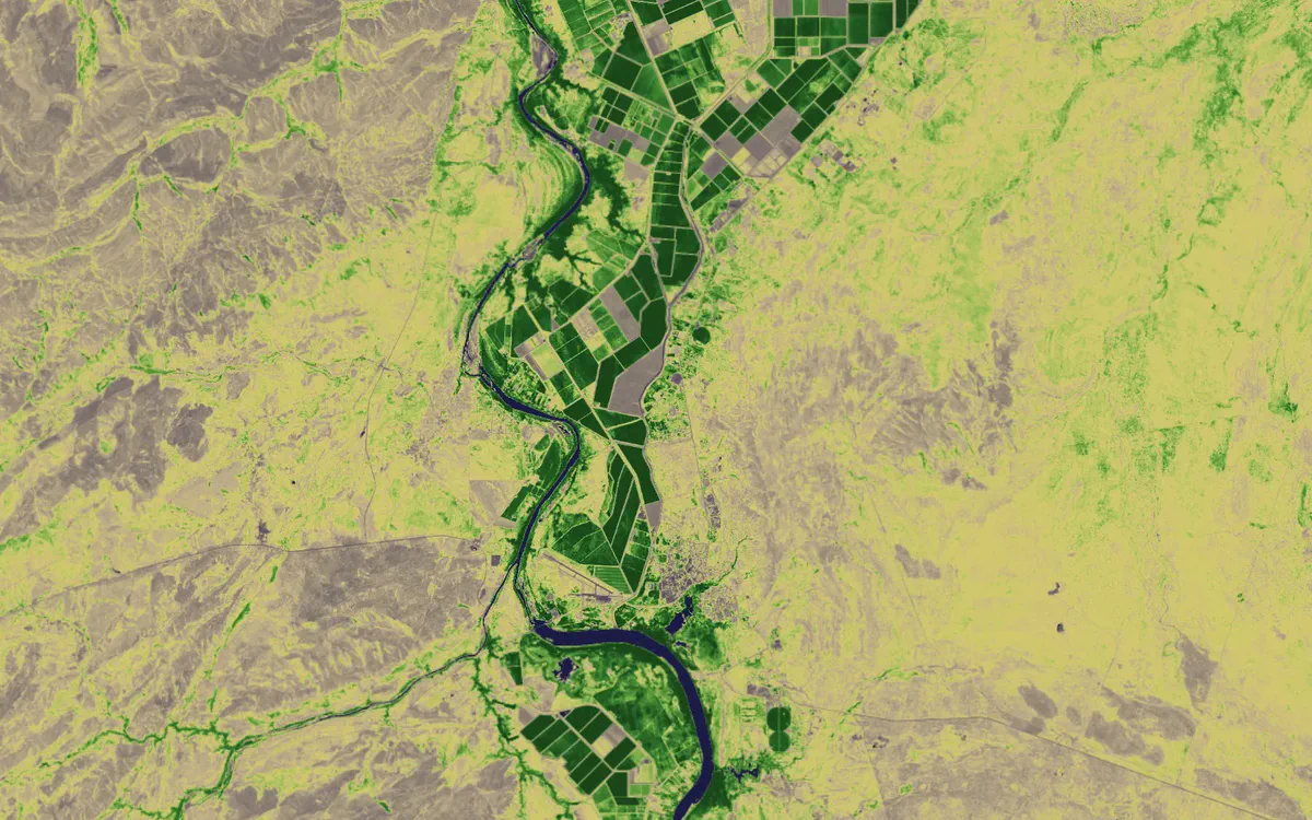 Irrigated fields along the Ord River standing out dark green against dry country in NDVI