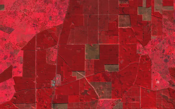 Plantations and forestry, Green Triangle, SA
