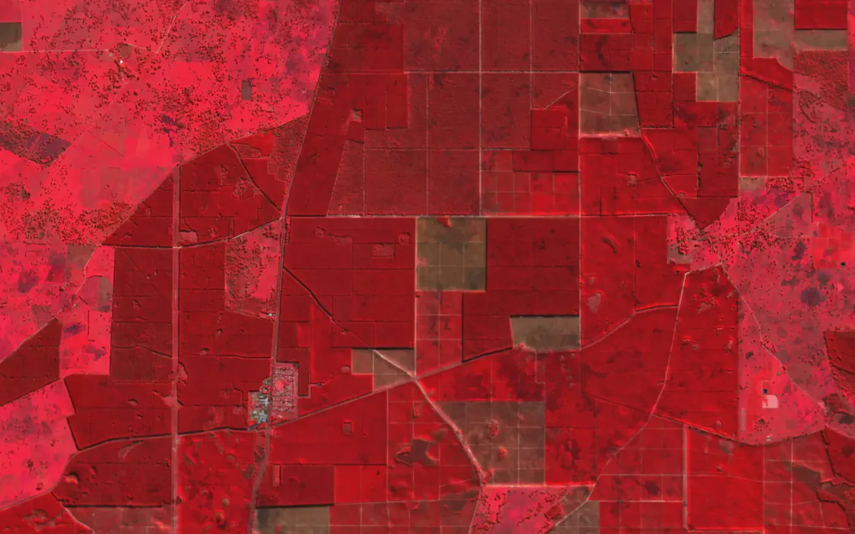 S2 colour infrared view of pine plantation compartments
