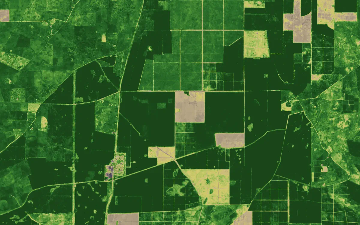 NDVI: Pine plantations near Nangwarry, South Australia