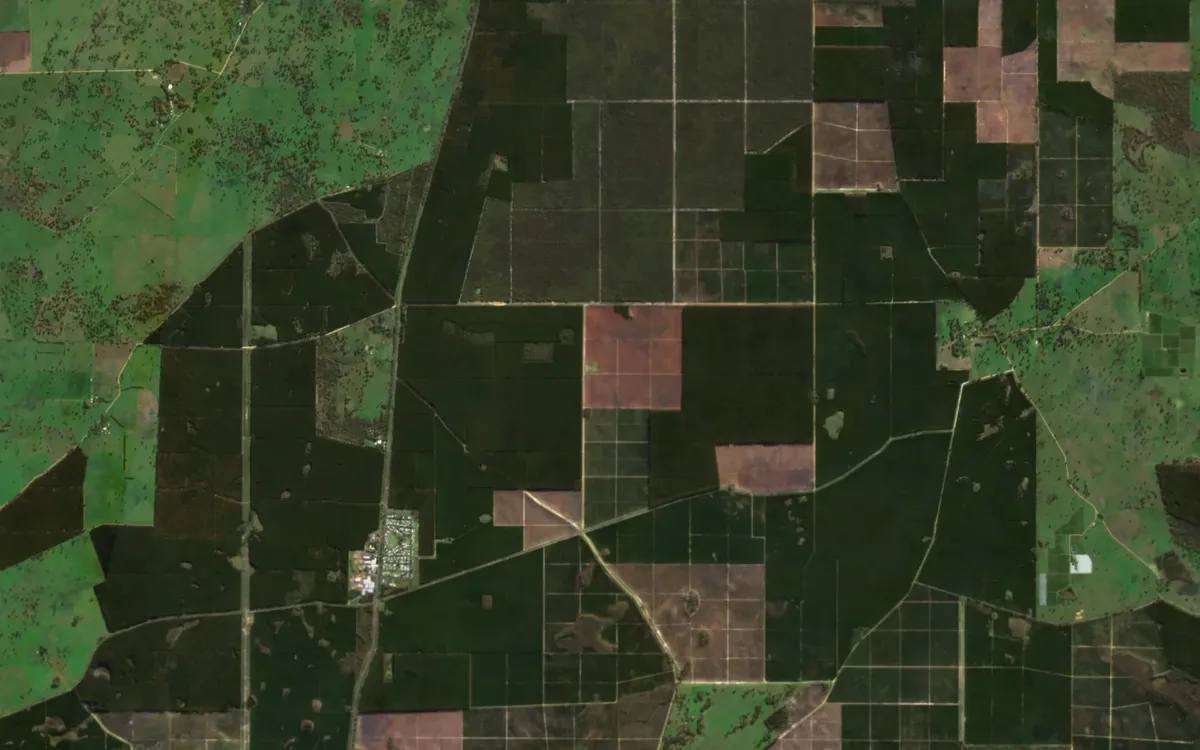 True colour: Pine plantations near Nangwarry, South Australia