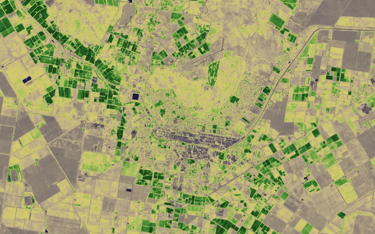 S2 NDVI view of irrigated farmland in the Riverina